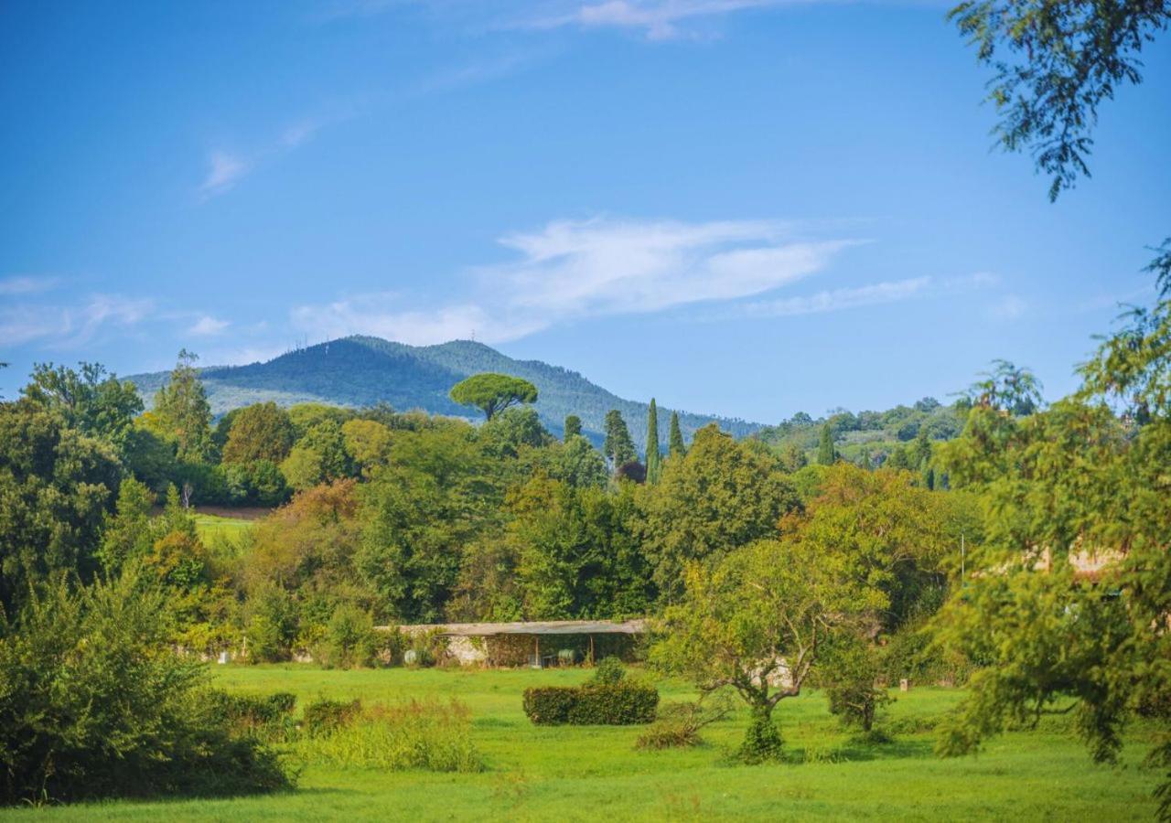 Countryhouse Con Piscina Riscaldata Vicina Al Centro 佛罗伦萨 外观 照片